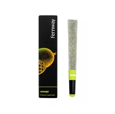Mango | 1g | Preroll