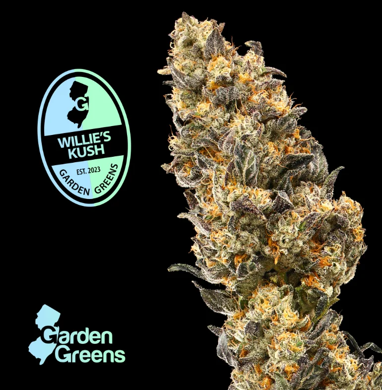 Willy Kush | 7g | Big Bud | Flower Willy Kush | 7g | Big Bud | Flower