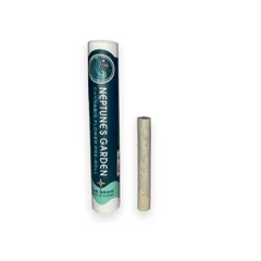 Nightmare Runtz | 1g | Preroll Nightmare Runtz | 1g | Preroll