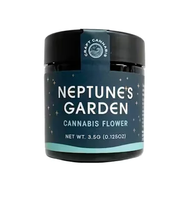 Nightmare Runtz | 3.5g | Flower Nightmare Runtz | 3.5g | Flower