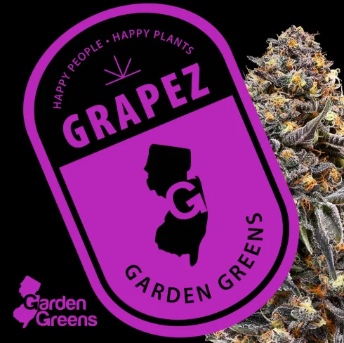 Grapez | 3.5g | Flower Grapez | 3.5g | Flower