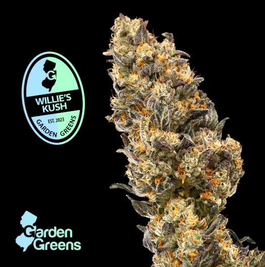 Willy Kush 3.5g Flower Willy Kush 3.5g Flower