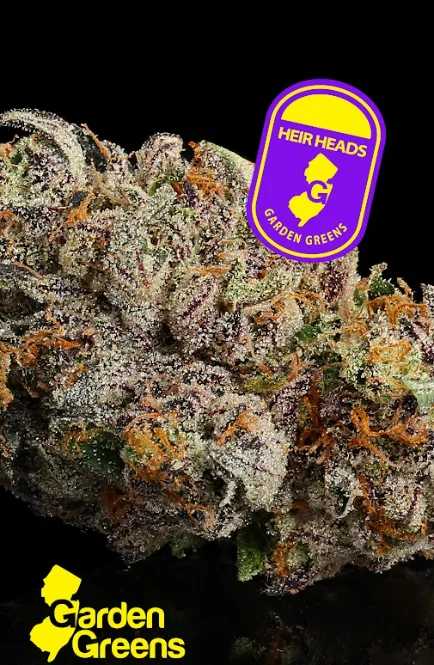 Heir Heads | 3.5g | Flower Heir Heads | 3.5g | Flower