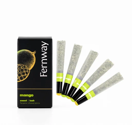 Mango | 2.5g 5pk | Preroll Mango | 2.5g 5pk | Preroll