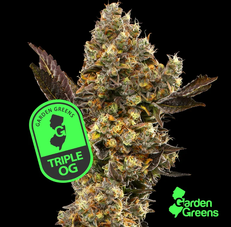 Triple Og | 7g | Big Bud | Flower Triple Og | 7g | Big Bud | Flower