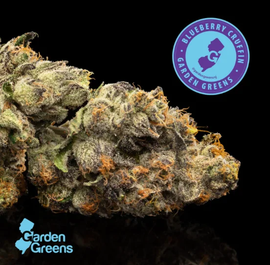Blueberry Cruffin | 3.5g | Flower Blueberry Cruffin | 3.5g | Flower