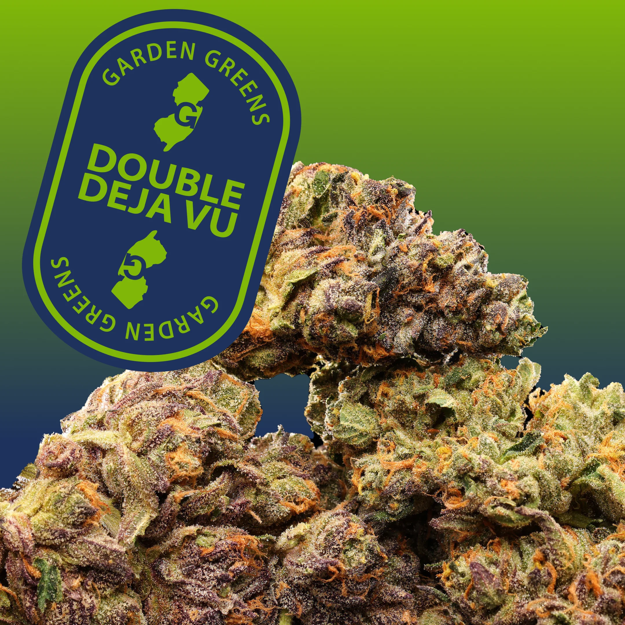 Double Deja Vu | 3.5g | Flower Double Deja Vu | 3.5g | Flower