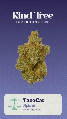 Tacocat | 3.5g | Flower Tacocat | 3.5g | Flower