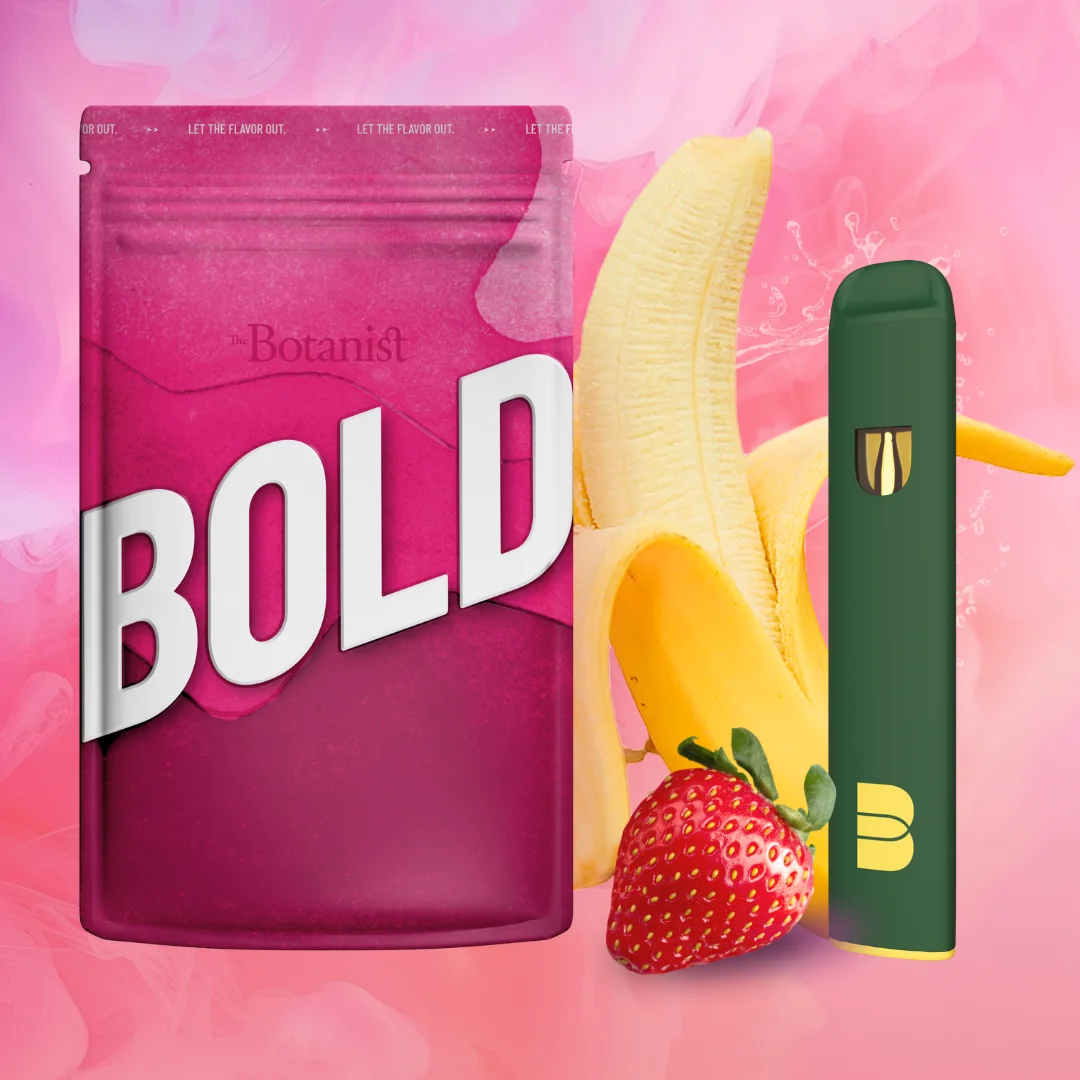 Bold Banana Berry | 1g | Disposable
