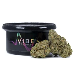 Rainbow Marker - 7 G