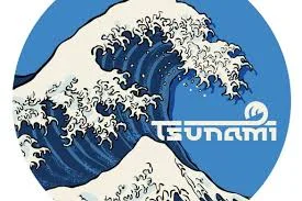 Tsunami - 1g Disposable Vape Cartridge - Mango Surf - 1 G
