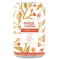 Mini Soda - 12oz - Tropical Strawberry