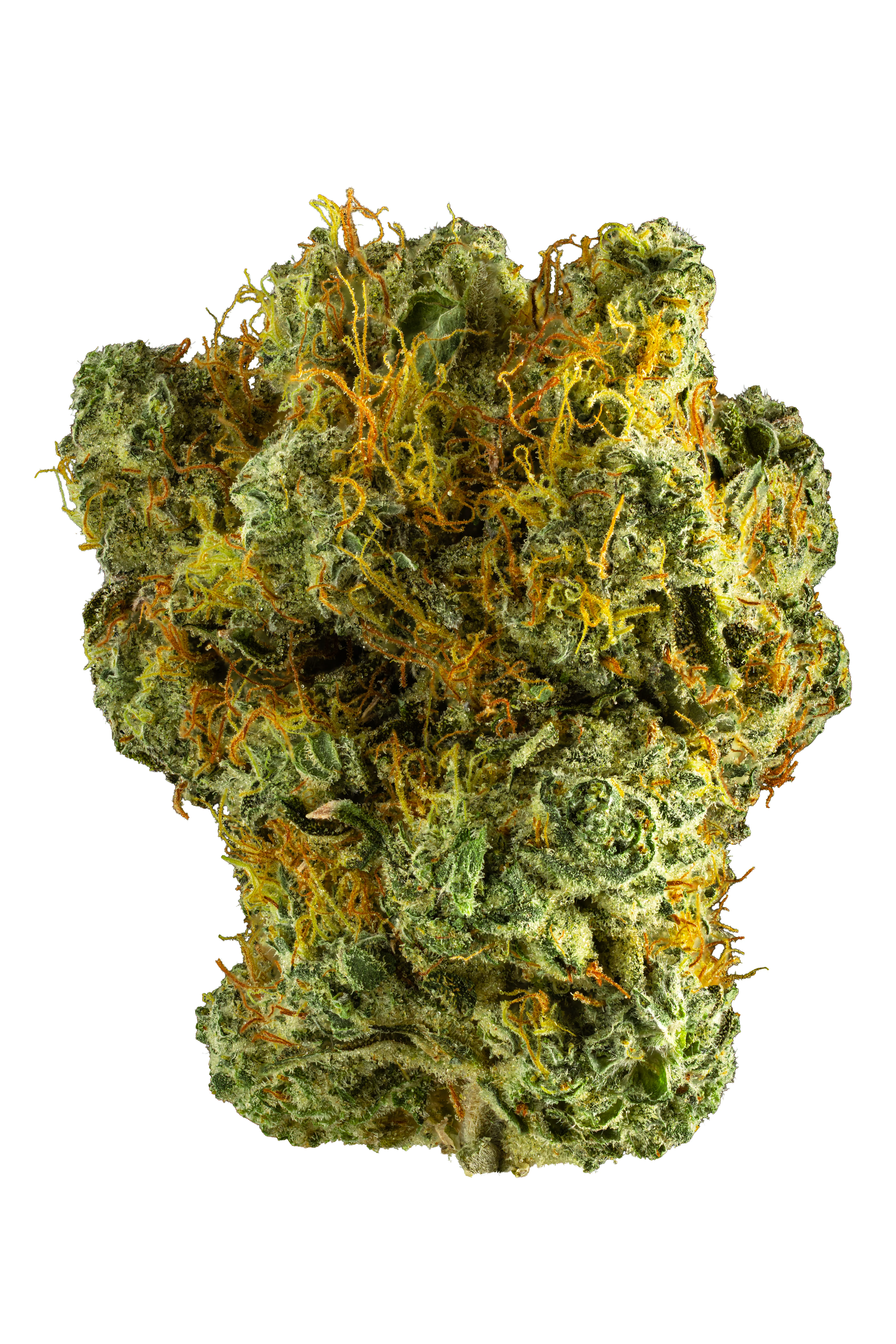 Dark Rainbow Dark Rainbow