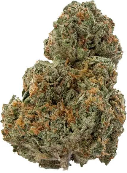 Slurricane