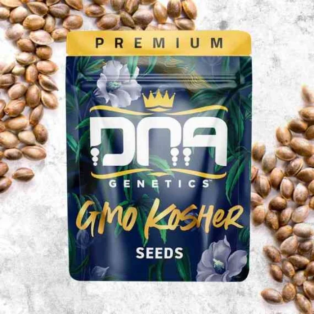 Dna Genetics - Gmo Kosher (F) 6pk