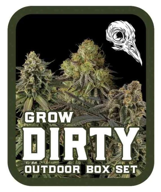 Dirty Bird Genetics - Outdoor Box Set - Half Pack (F)