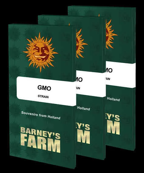 Barney's Farm - Gmo (F) - 5pk