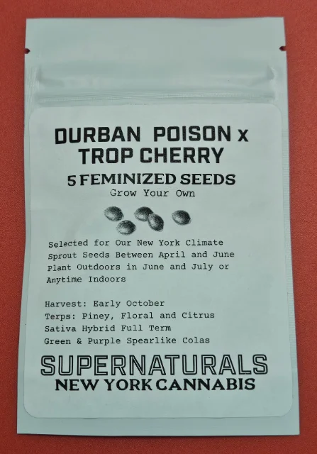 Supernaturals - Tropicana Poison (F) - 5pk
