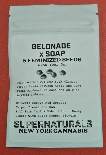 Supernaturals - Gelonade X Soap (F) - 5pk