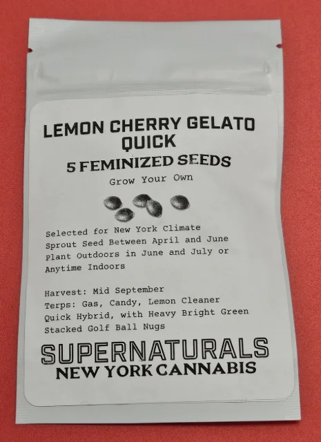 Supernaturals - Lemon Cherry Gelato Quick (F) - 5pk