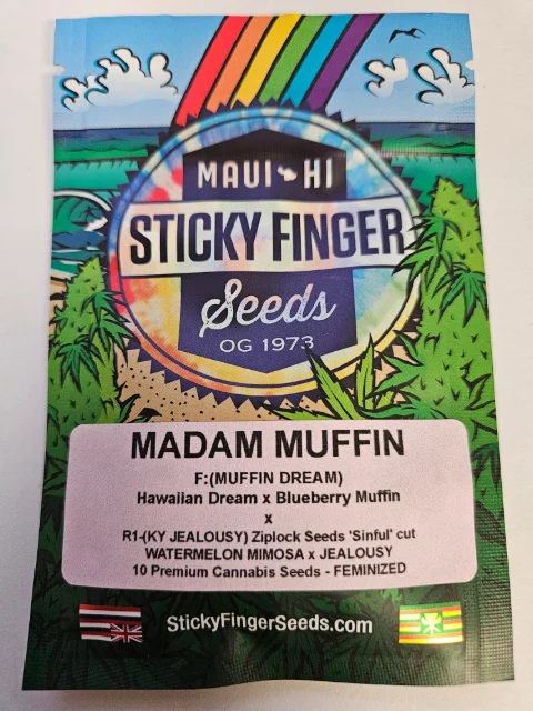 Sticky Finger Seeds - Madam Muffin (F) - 10pk