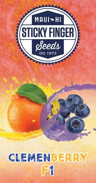 Sticky Finger Seeds - Clemenberry F1 (R) - 15pk