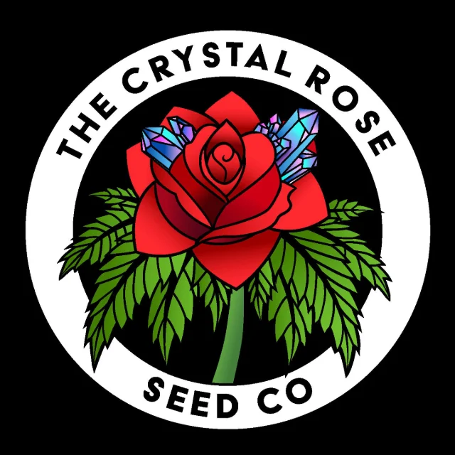 Crystal Rose Seed Co - Gordon Ramzay (R) - 12pk