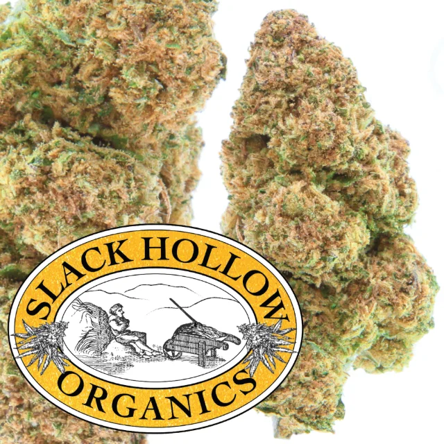 Slack Hollow Organics - Raspberry Parfait - 3.5g Flower