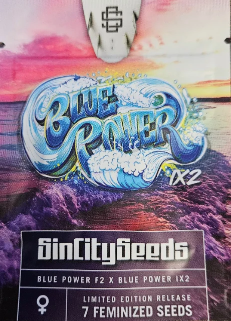 Sin City Seeds - Blue Power Ix2 (F) - 7pk