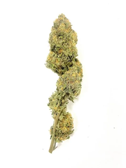 Mvp - Grapeopottomus - 3.5g Premium Flower