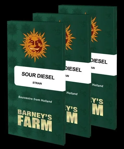 Barney's Farm - Sour Diesel (F) - 5pk
