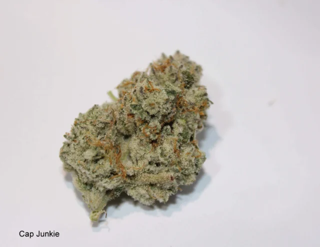 Roemer Farms - Cap Junky - 3.5g Premium Indoor Hydro Flower