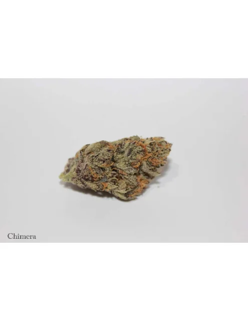 Roemer Farms - Chimera - 3.5g Premium Indoor Hydro Flower
