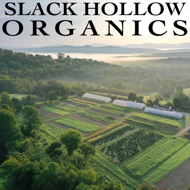Slack Hollow Organics - Blueberry Cupcake - 3.5g Flower