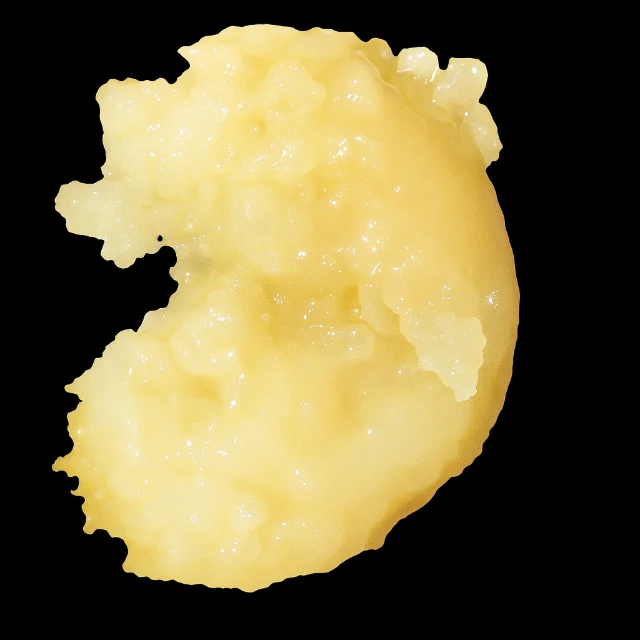 Circle Hill - Rainbow Push Pop - 1g Live Rosin Badder