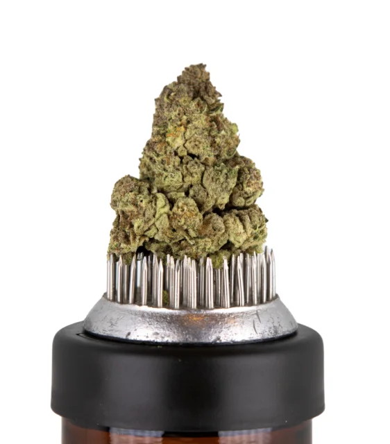 Sticky's Weed Farm - Sugar Rim - 3.5g Locally Grown Flower Sticky's Weed Farm - Sugar Rim - 3.5g Locally Grown Flower