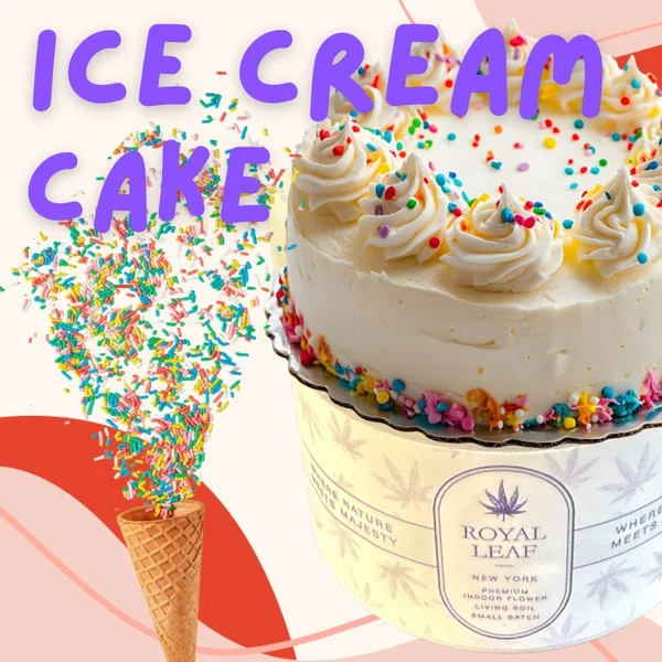 Royal Leaf - Ice Cream Cake - 3.5g Indoor Flower