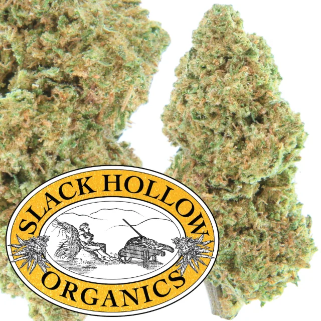 Slack Hollow Organics - Blue Dream - 14g Flower