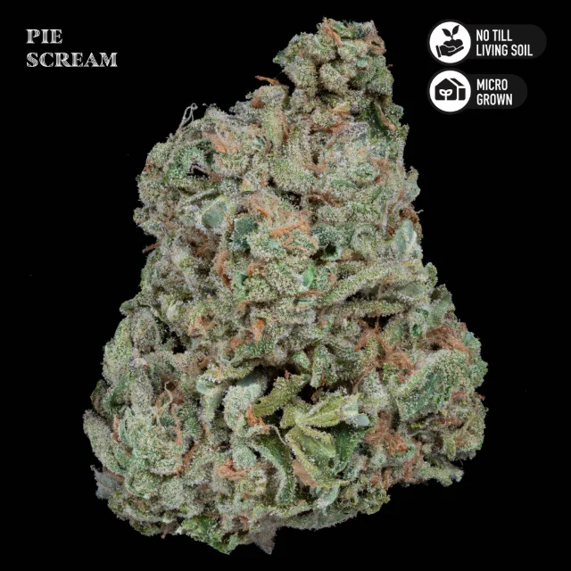 Royal Genetics - Pie Scream - 3.5g Premium Living Soil Mixed Light Flower