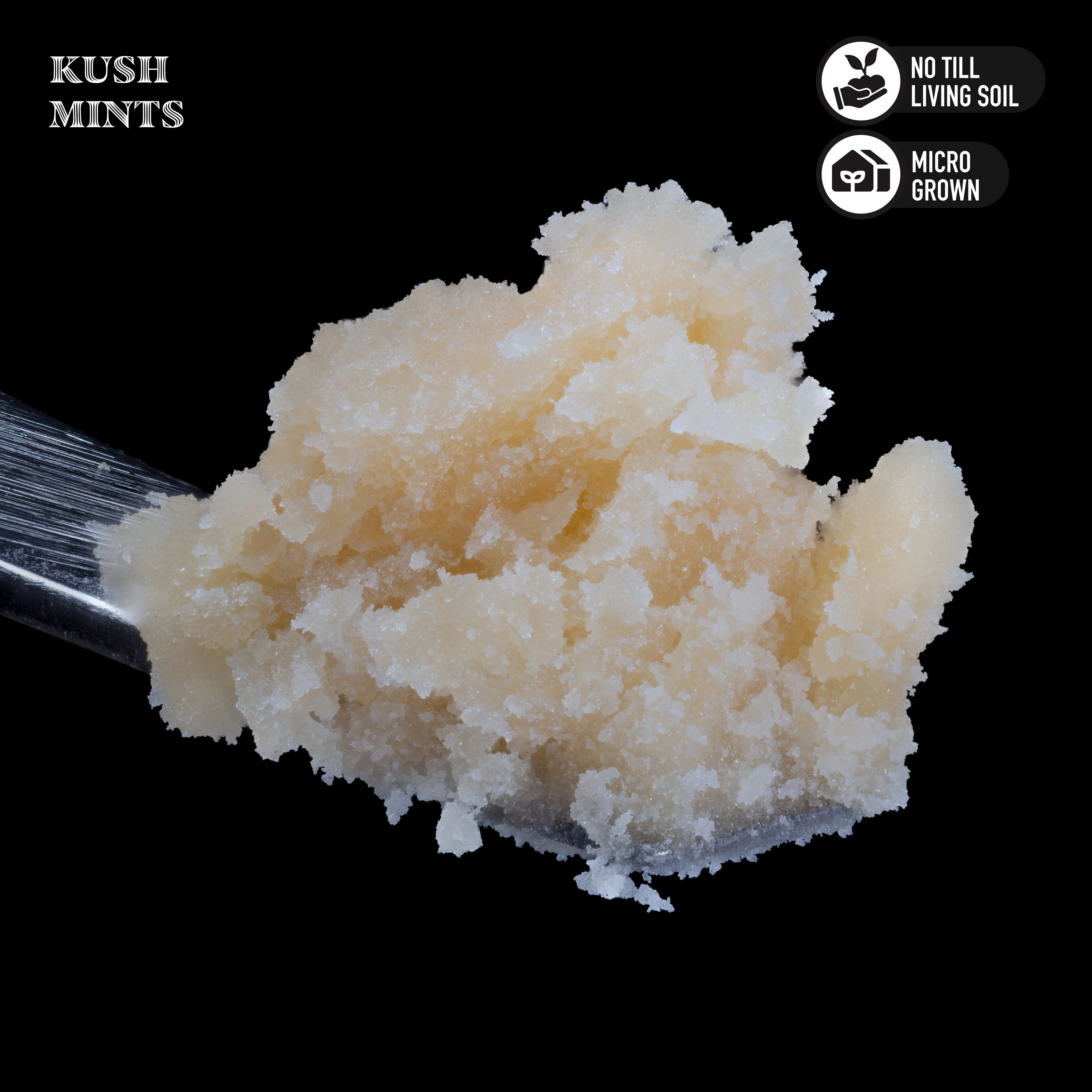 Royal Genetics - Kush Mints - 1g Cold Cure Rosin