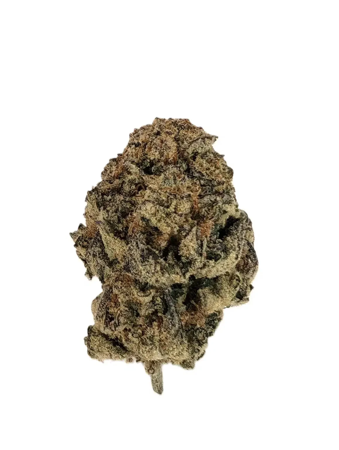 Campfire Cannabis - 4g Flower - Lit Og (I)