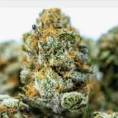 Wizard Cake 3.5g-the B