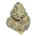 Wizard Pie 14g