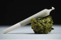 Super Saver Pre-roll Wizard Pie 1g