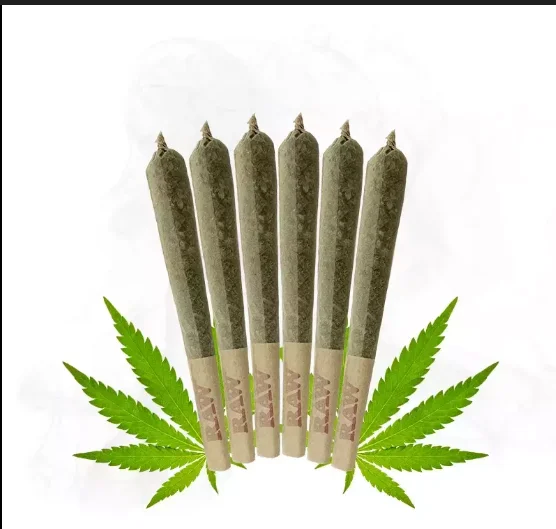 6 Pack Pre-rolls Megalodon