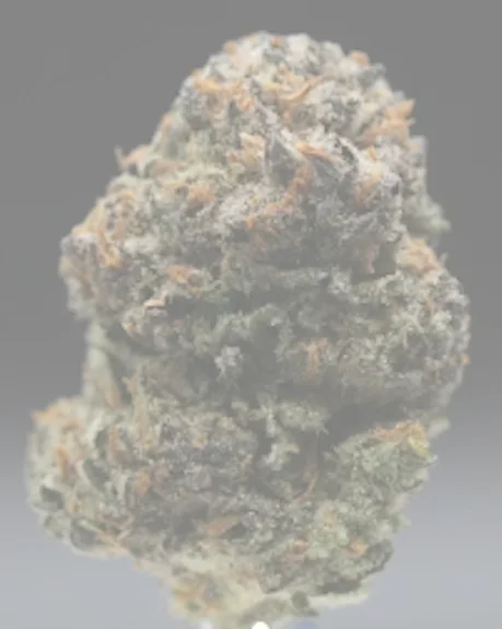 Dsf Super Lemon Haze - 28g Small Bud