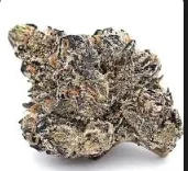 Trop Runtz Small Bud Ounce Special