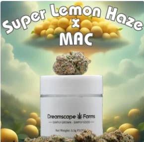 Dsf Super Lemon Haze 7g