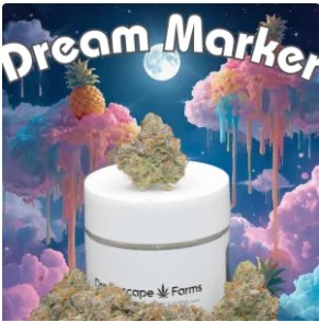 Dsf Dream Marker 7g