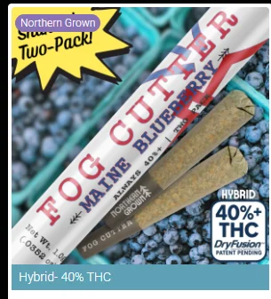 Maine Blueberry Hybrid Fog Cutter - 2 Pack Of 0.5g Infused Pre Roll(s)